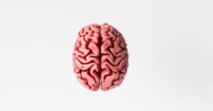 A brain with increased function because of NAD+