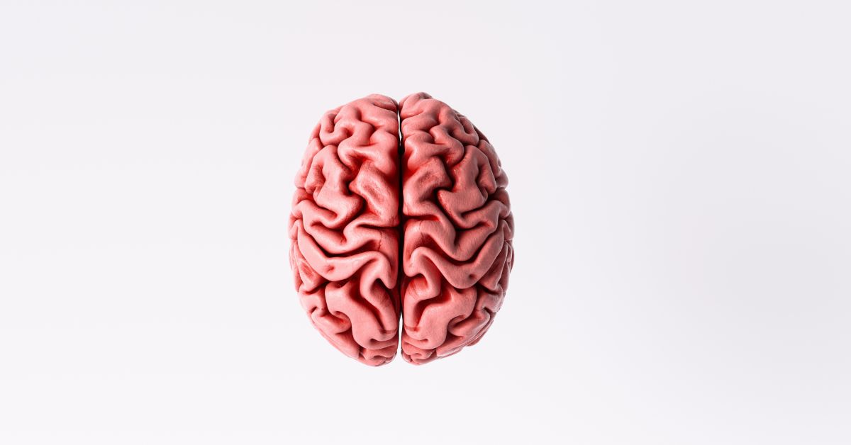 A brain with increased function because of NAD+