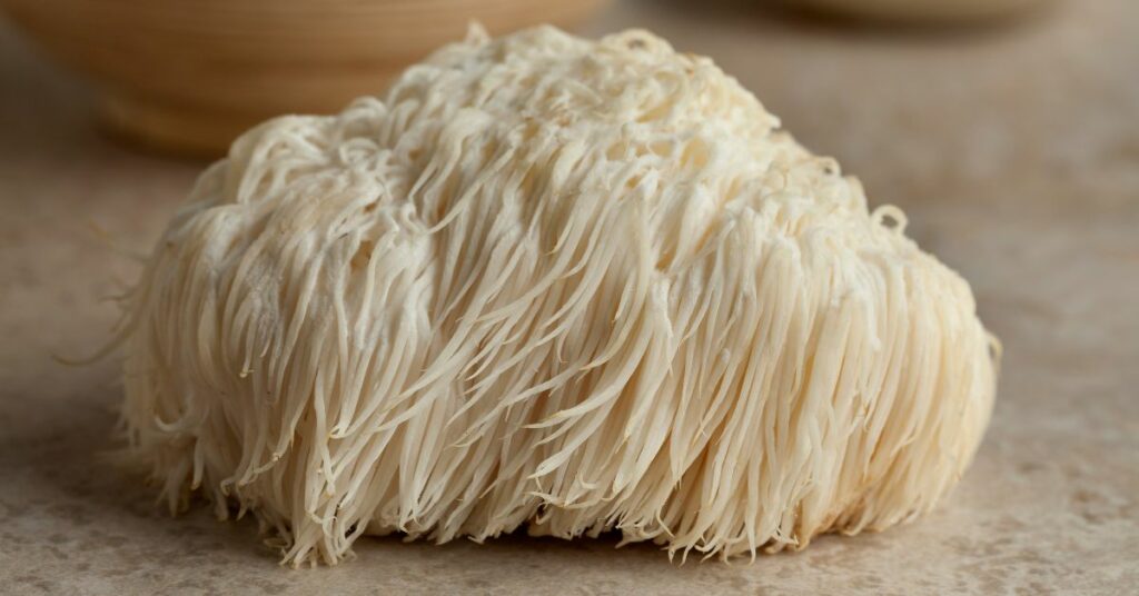 Lion's Mane mushroom which can significantly boost BDNF levels